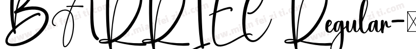 BARRIEC Regular字体转换